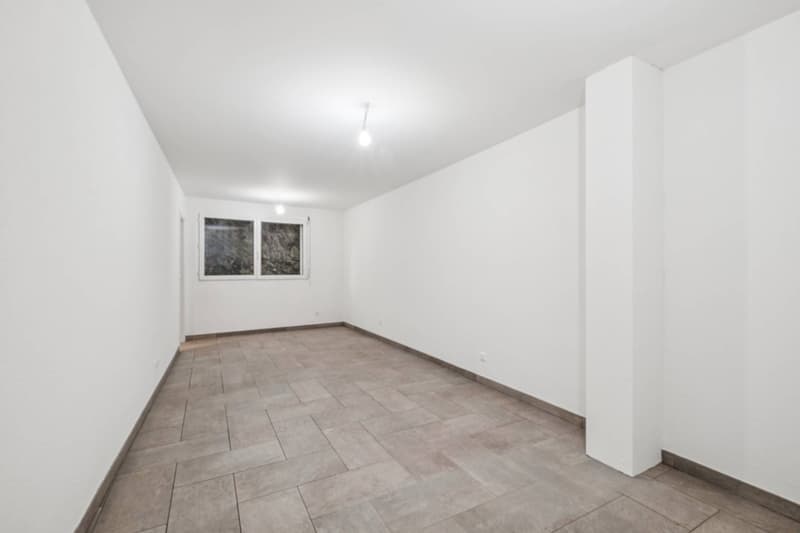Duplex élégant avec panorama sur le Léman (7)