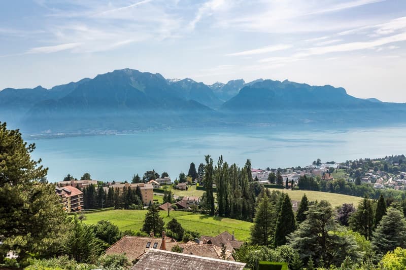 Superbe villa contemporaine avec vue à 180 sur le lac et les Alpes (4)