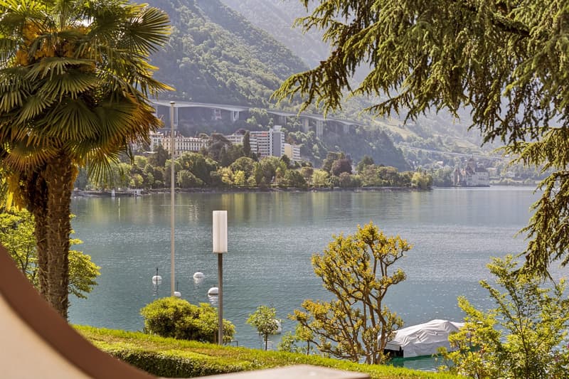 Rare à la vente, appartement situé sur le fameux Quai des Fleurs (3)