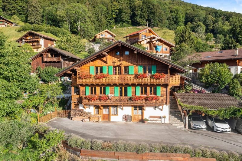 Magnifique chalet avec cachet, bel ensoleillement, jardin et mazot (1)