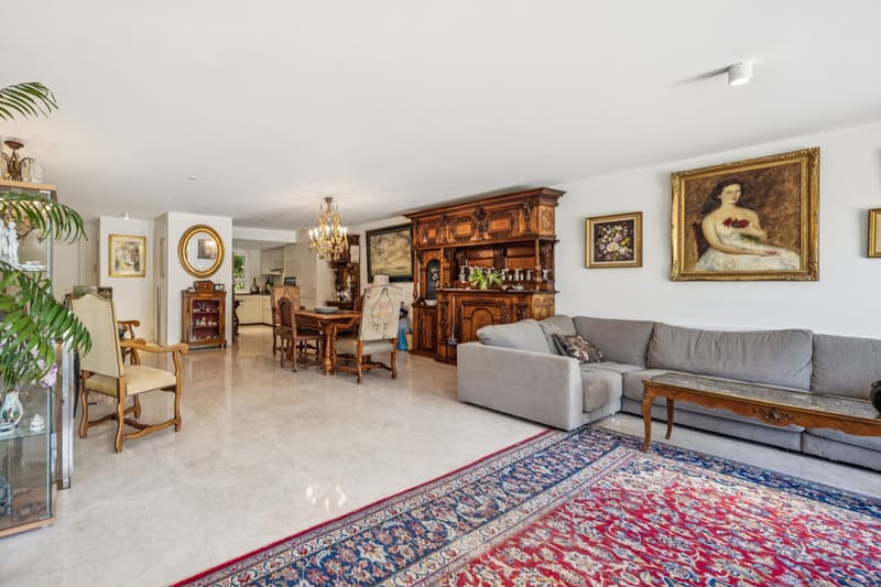 Magnifique appartement en duplex de type villa (6)