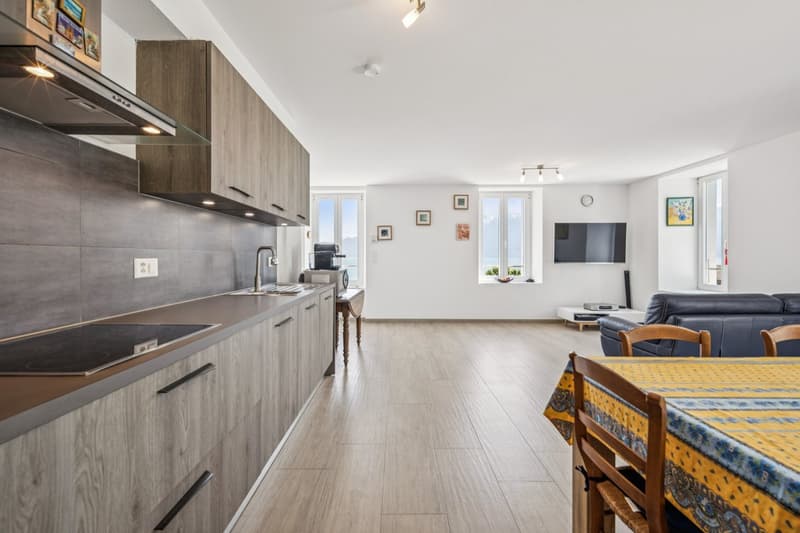 Spacieux appartement à deux pas du lac (6)