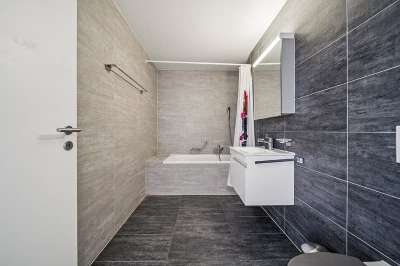 Spacieux appartement à deux pas du lac (12)