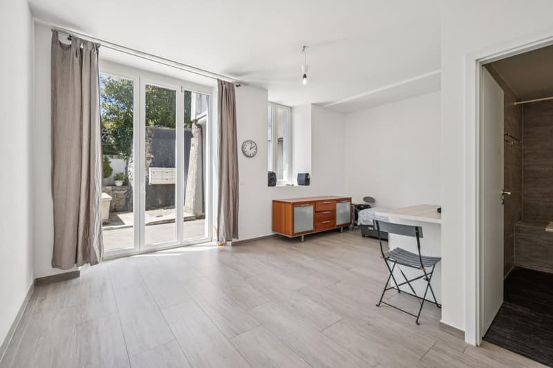 Spacieux appartement à deux pas du lac (9)