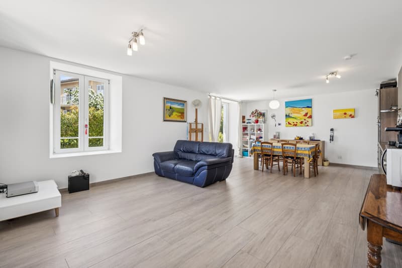 Spacieux appartement à deux pas du lac (5)