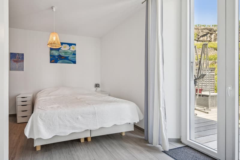 Spacieux appartement à deux pas du lac (10)