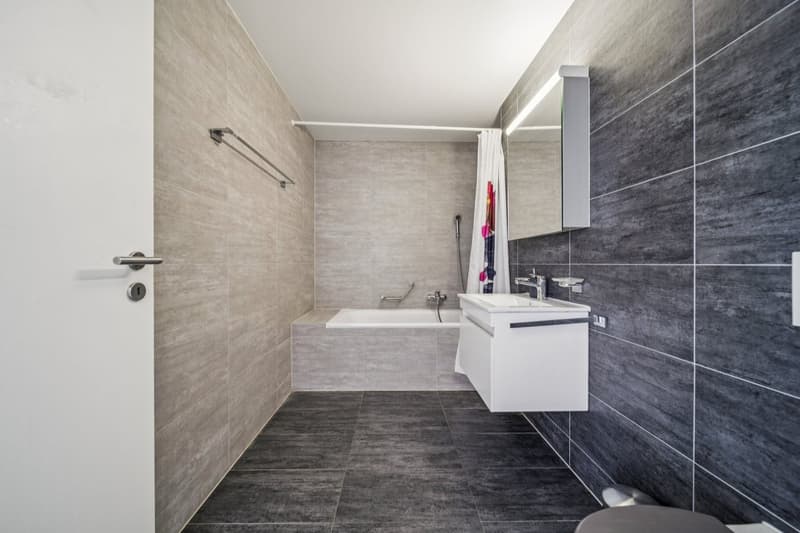 Spacieux appartement à deux pas du lac (12)