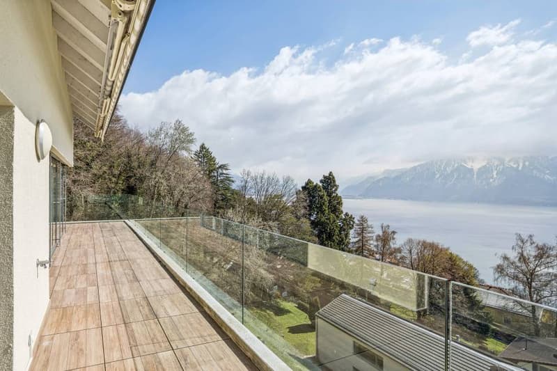 Magnifique vue et calme absolu pour ce 3.5 pièces (5)