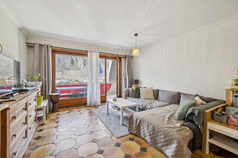 Appartement centre village, très bien entretenu, actuellement loué (3)