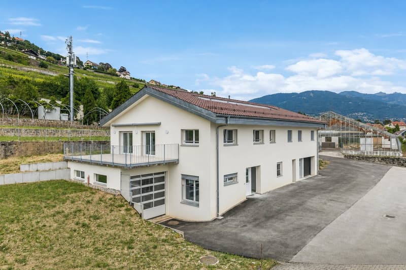 Maison de 2 appartements entièrement rénovés ! (13)