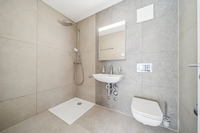 Maison de 2 appartements entièrement rénovés ! (6)