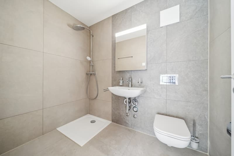 Maison de 2 appartements entièrement rénovés ! (6)