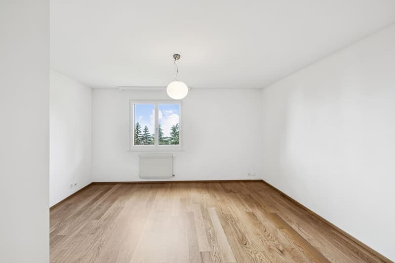 Appartement rénové de 5 1/2 pièces - Idéal pour une famille ! (8)