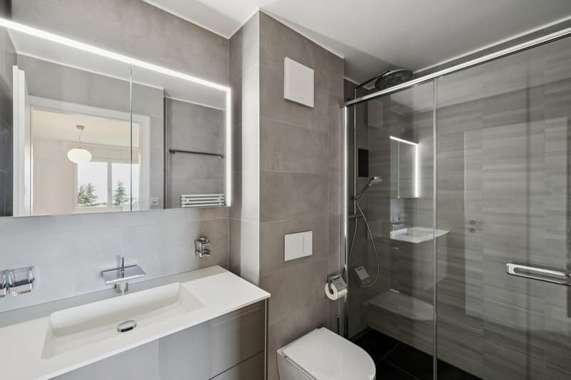 Appartement rénové de 5 1/2 pièces - Idéal pour une famille ! (4)