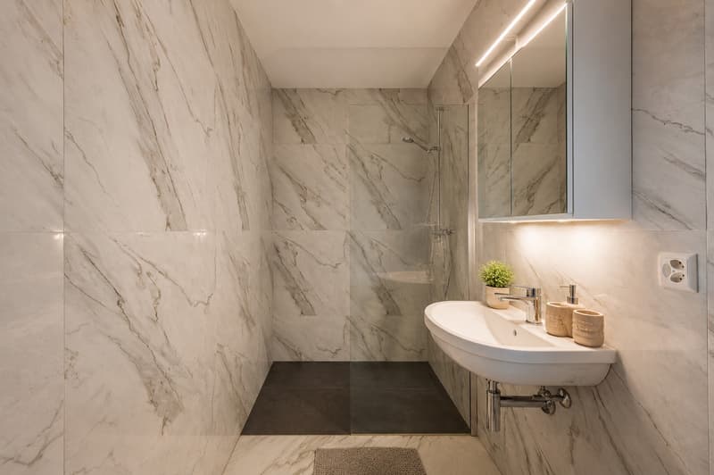 Appartement studio spacieux et rénové (2)