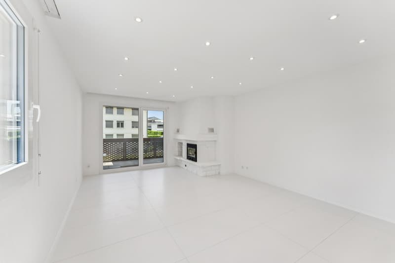 Bel appartement de 3 1/2 pièces rénové ! (3)