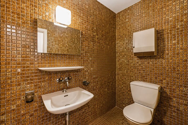Appartement de 3,5 pièces à "deux pas" du lac (9)