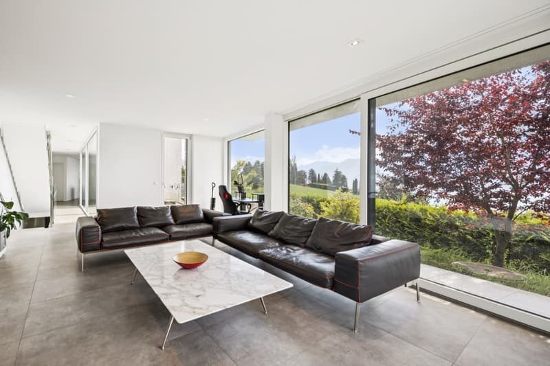 Vue panoramique pour cette villa contemporaine (5)