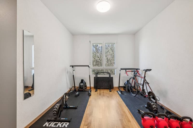 Duplex en attique contemporain avec vue sur le lac (10)
