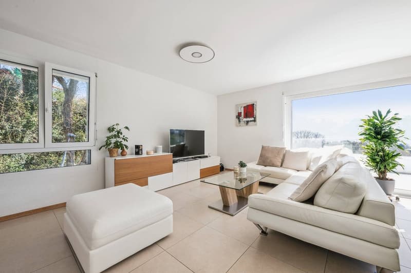 Duplex en attique contemporain avec vue sur le lac (2)