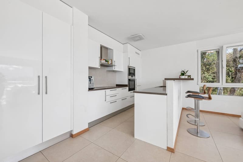 Duplex en attique contemporain avec vue sur le lac (5)