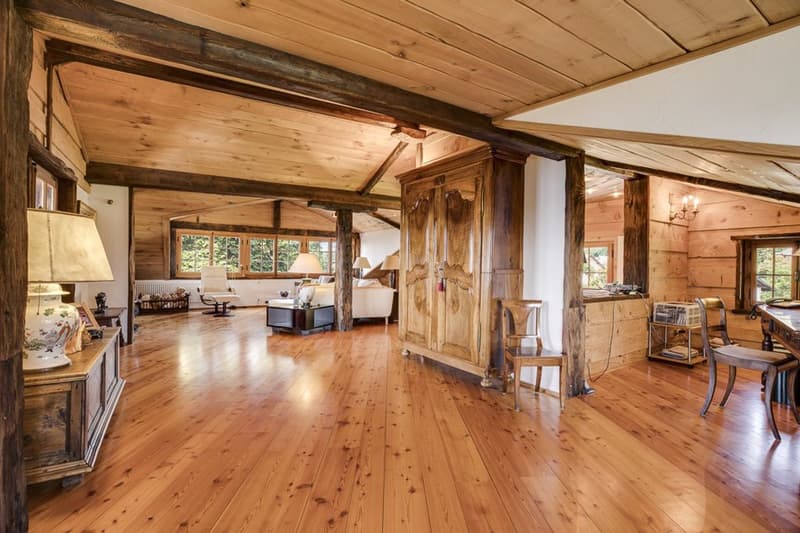 2 Propriétés dont un luxueux chalet avec vue panoramique (8)