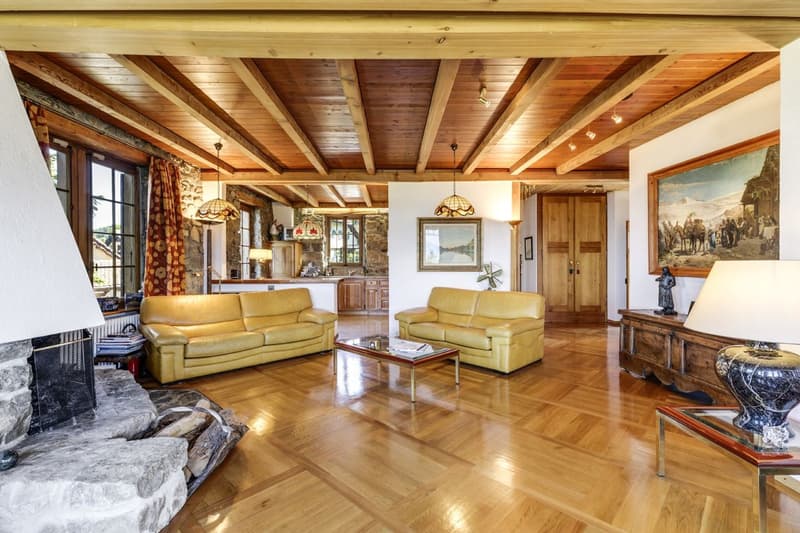 2 Propriétés dont un luxueux chalet avec vue panoramique (7)