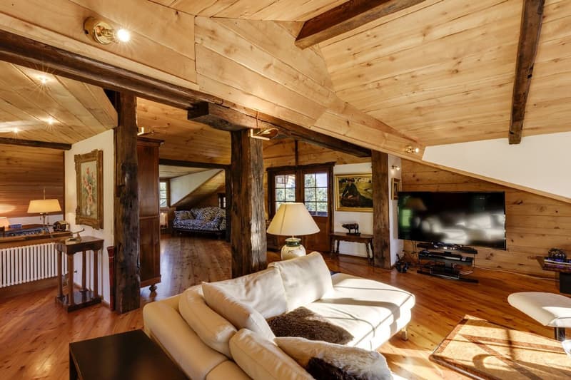 2 Propriétés dont un luxueux chalet avec vue panoramique (9)