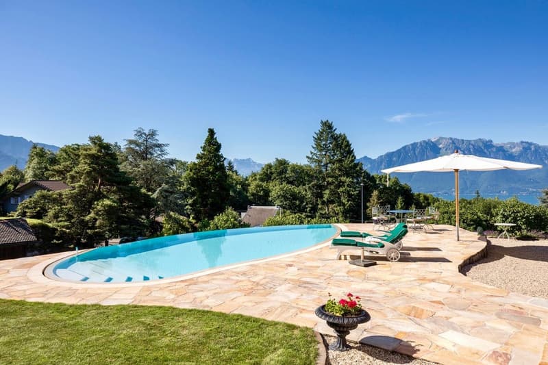 2 Propriétés dont un luxueux chalet avec vue panoramique (4)