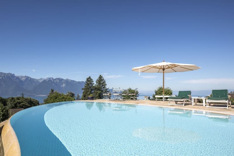 2 Propriétés dont un luxueux chalet avec vue panoramique (5)