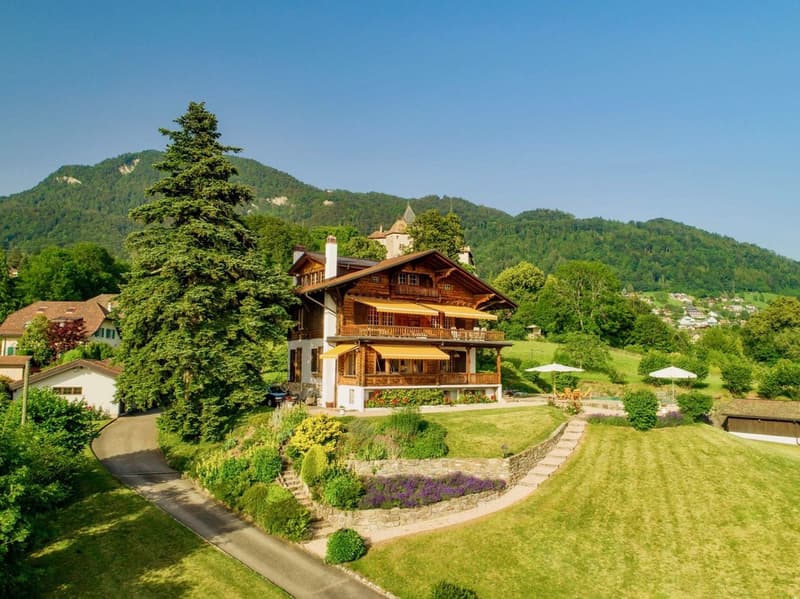 2 Propriétés dont un luxueux chalet avec vue panoramique (2)
