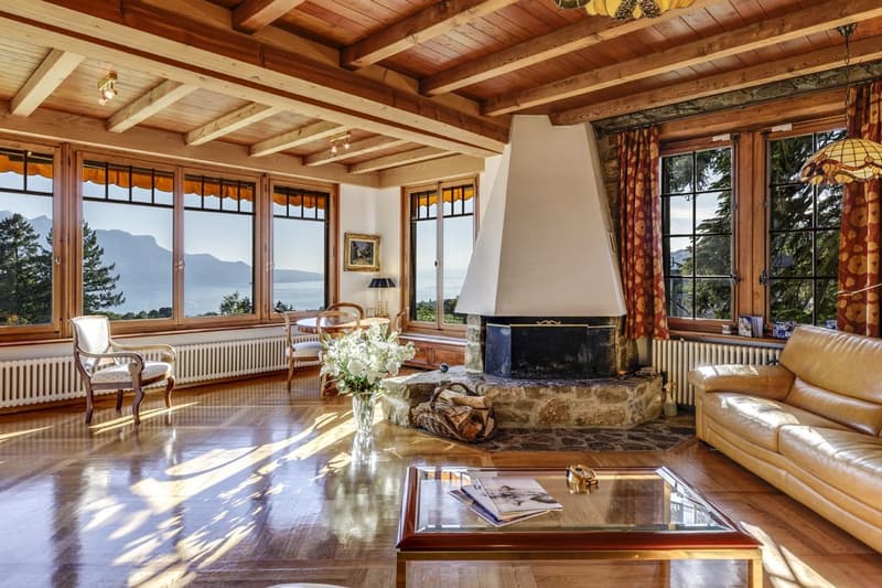 2 Propriétés dont un luxueux chalet avec vue panoramique (6)
