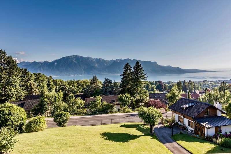 2 Propriétés dont un luxueux chalet avec vue panoramique (12)