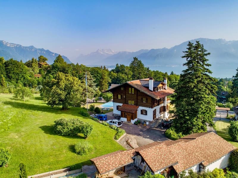 2 Propriétés dont un luxueux chalet avec vue panoramique (10)