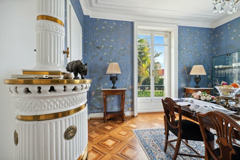 A 2 pas du bord du lac, quartier prisé des Villas Dubochet (7)