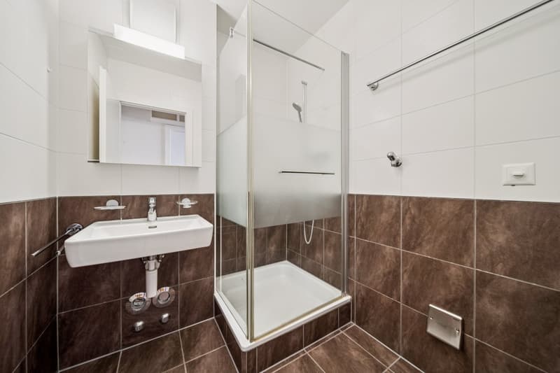Appartement familial urbain ! Transports publics au pied de l'immeuble (9)