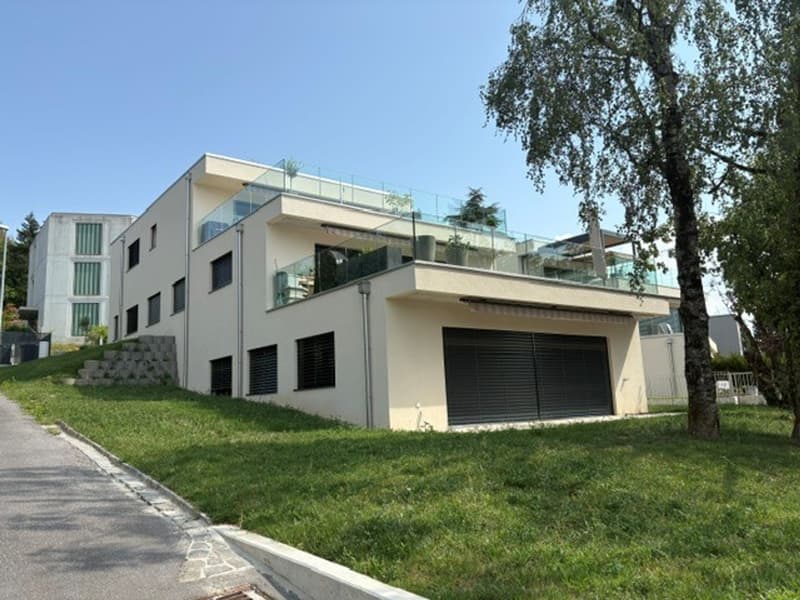 Bel emplacement Magnifique 3 1/2 pièces avec terrasse et jardin. (1)