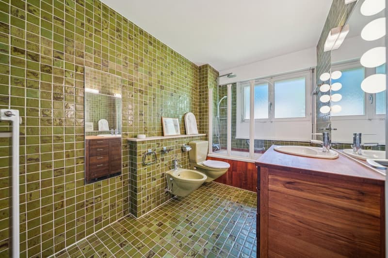 Spacieux appartement avec vue lac (9)