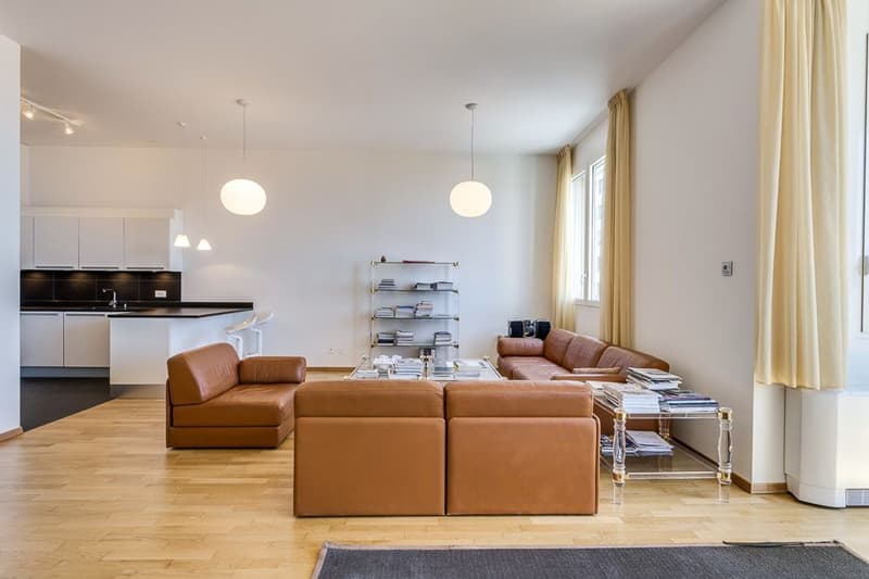Bel appartement urbain, situation idéale face au lac (3)