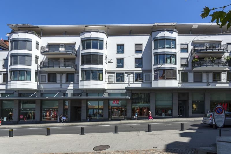 Bel appartement urbain, situation idéale face au lac (9)