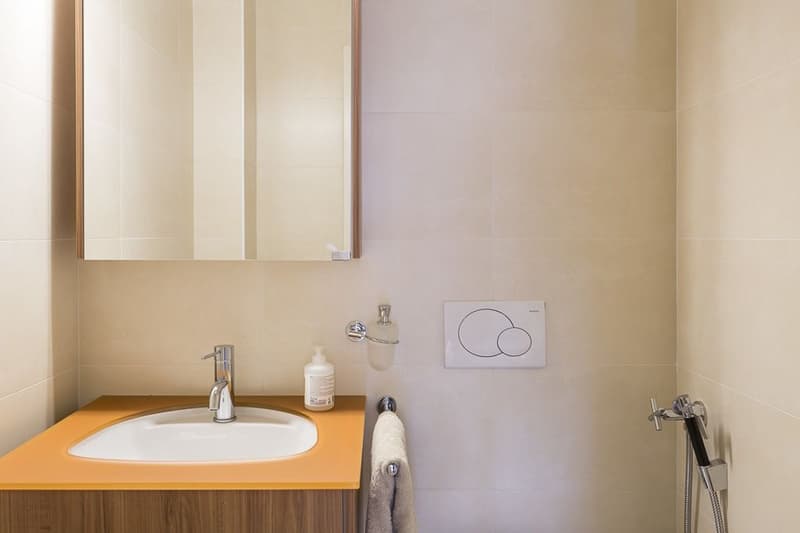 Bel appartement urbain, situation idéale face au lac (8)