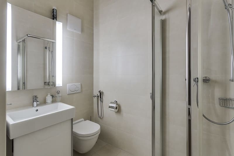 Bel appartement urbain, situation idéale face au lac (7)
