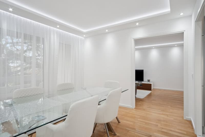 Appartement de 4,5 pièces entièrement rénové (6)