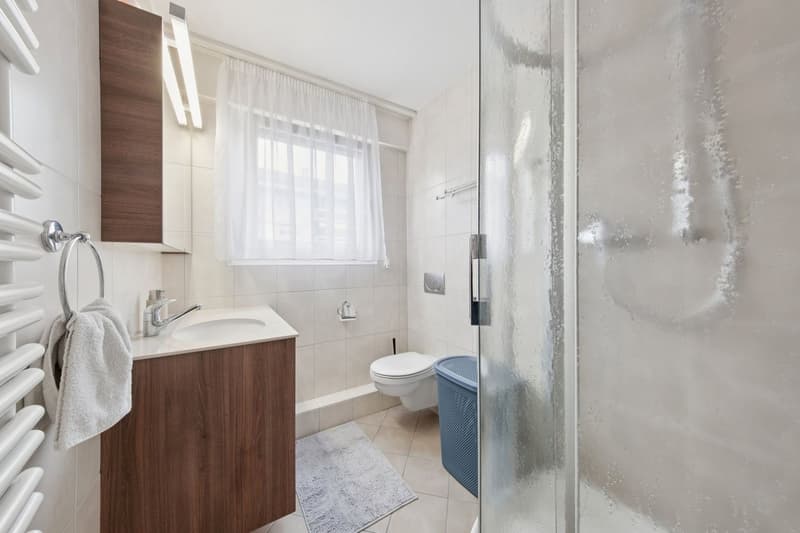 Appartement de 4,5 pièces entièrement rénové (12)