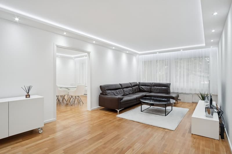 Appartement de 4,5 pièces entièrement rénové (1)