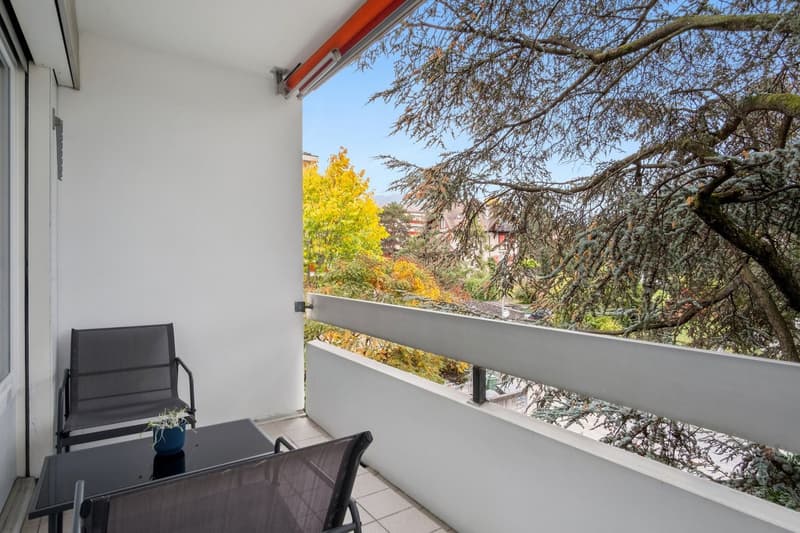 Appartement de 4,5 pièces entièrement rénové (8)