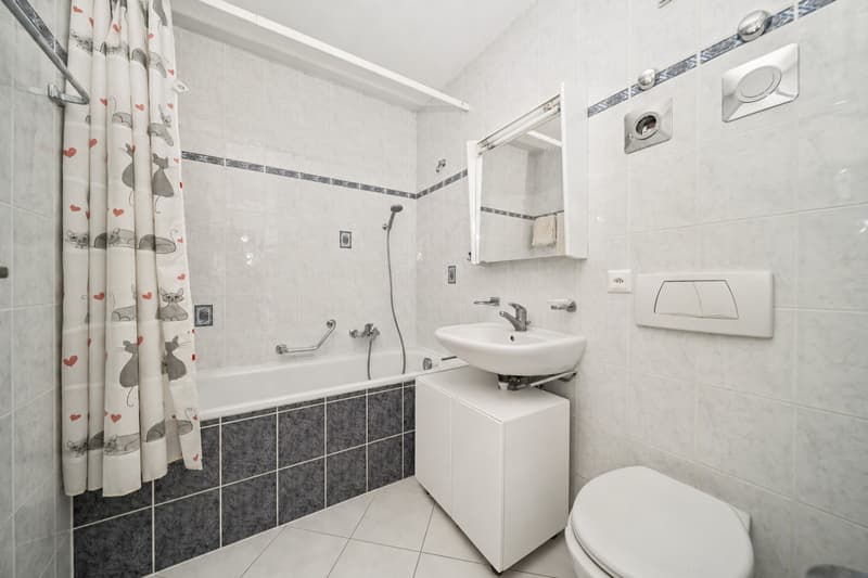 Spacieux appartement de 4,5 pièces (7)