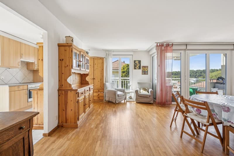 Spacieux appartement de 4,5 pièces (1)