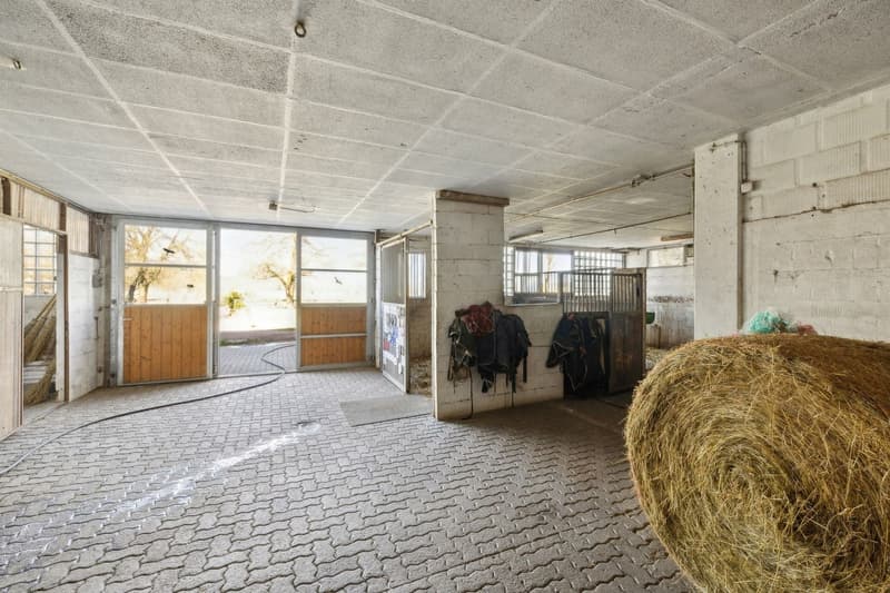 Exclusivité SOTHEBY'S Centre Equestre avec rendement (7)