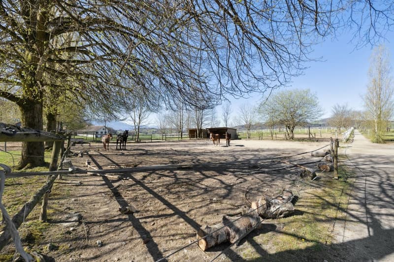 Exclusivité SOTHEBY'S Centre Equestre avec rendement (11)